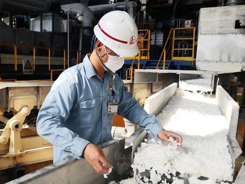 合成橡胶厂全面启动“质量月”活动，以高品质产品引领行业发展