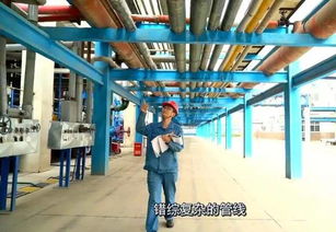 十杰荣耀 璀璨星光 记第九届十大杰出青年、合成橡胶厂李威的高品质追求